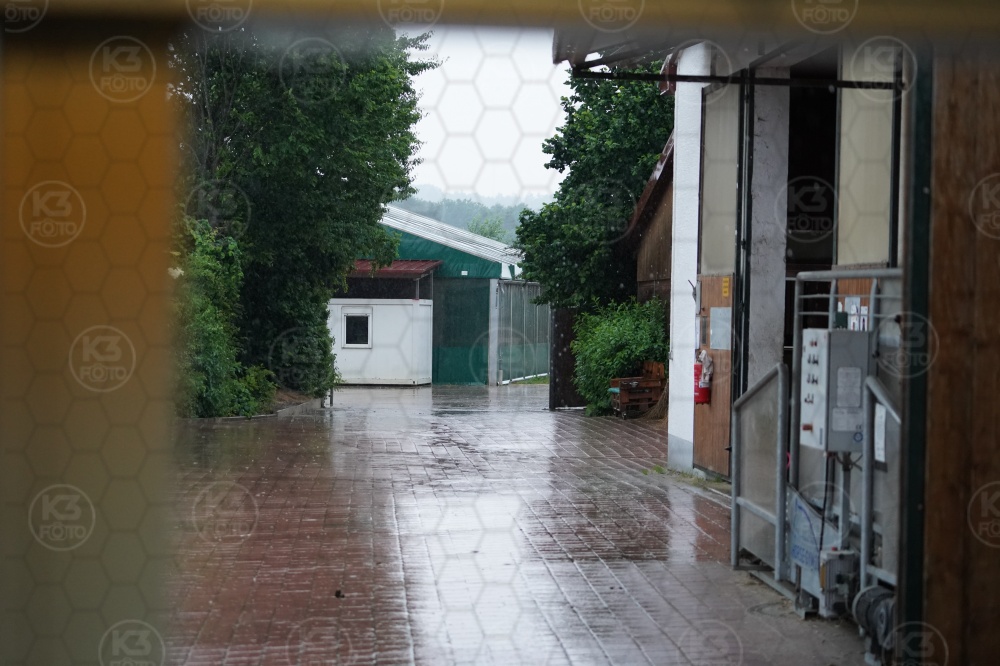 s_A9_05851.jpg